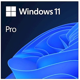 ოპერაციული სისტემა Microsoft FQC-10572, Windows 11 Pro, Online DwnLd NR